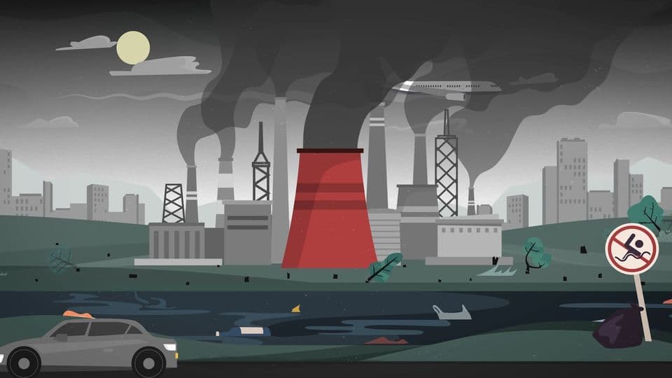 The impact of our food choices — animated explainer for the Montreal SPCA